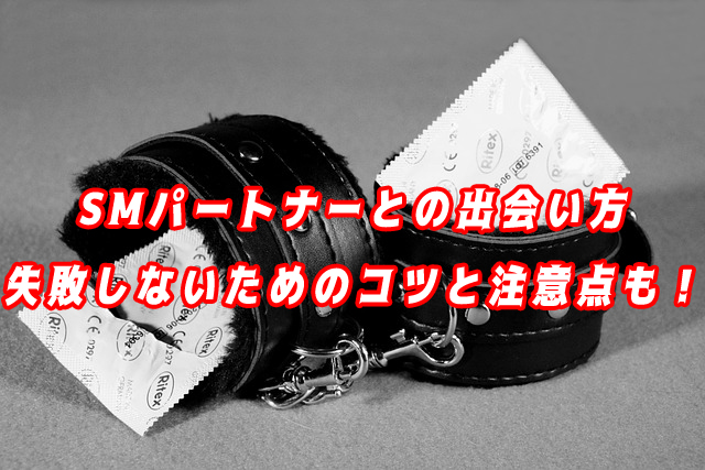 SMの出会い トップ