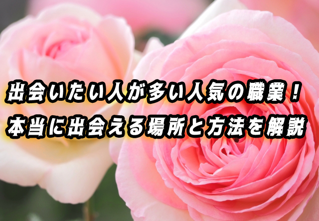 出会いたい人が多い職業