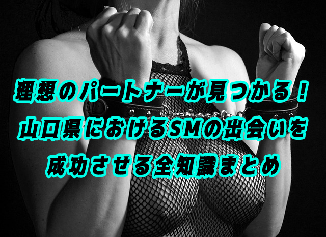 SM　出会い　山口県
